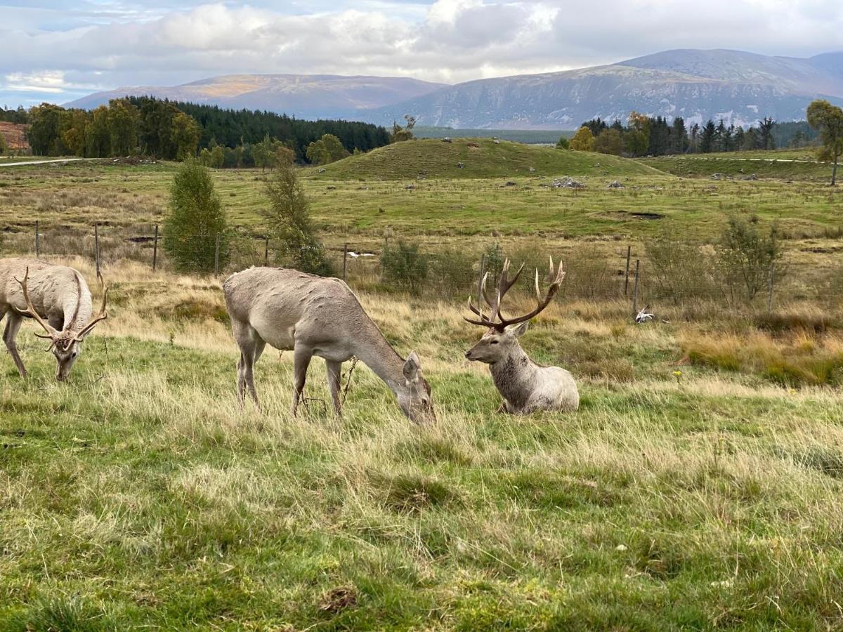 Ardenbeg Grantown-on-Spey Exterior foto